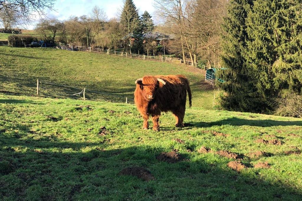 Appartement Und Monteurwohnung Matthies Naehe Koeln 30km